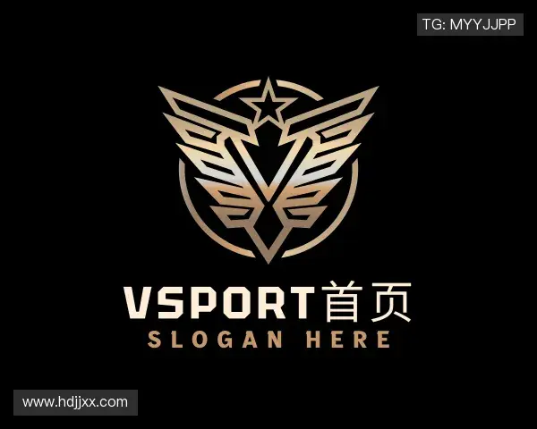 了解VSport首页